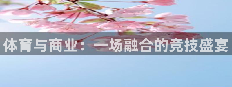 领航国际kgame：体育与商业：一场融合的竞技盛宴