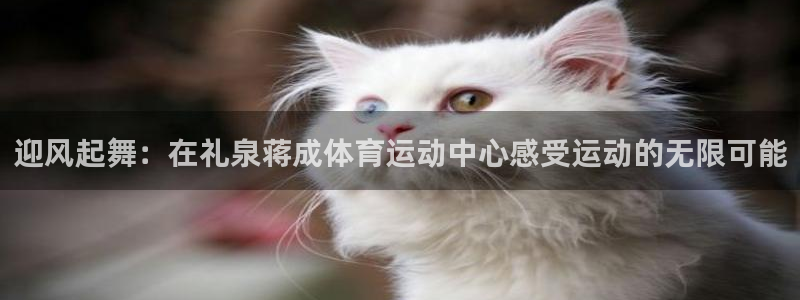 意昂kgame：迎风起舞：在礼泉蒋成体育运动中心感受运动的无限可能