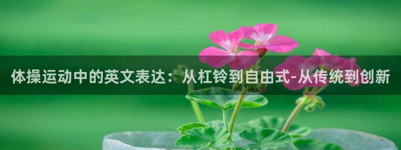 意昂平台主管：体操运动中的英文表达：从杠铃到自由式-从传统到创新