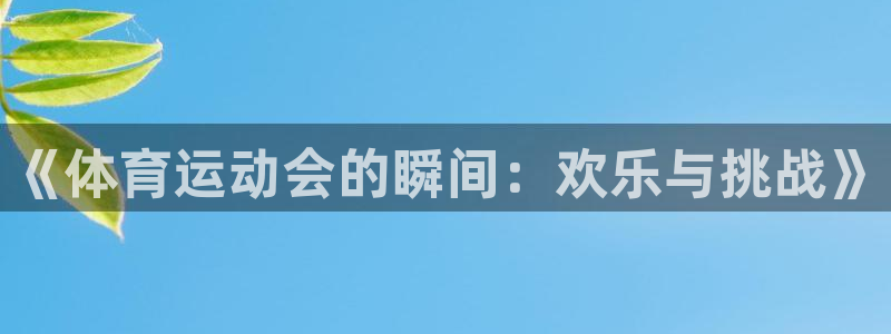 领航国际体育凯捷登陆：《体育运动会的瞬间：欢乐与挑战》