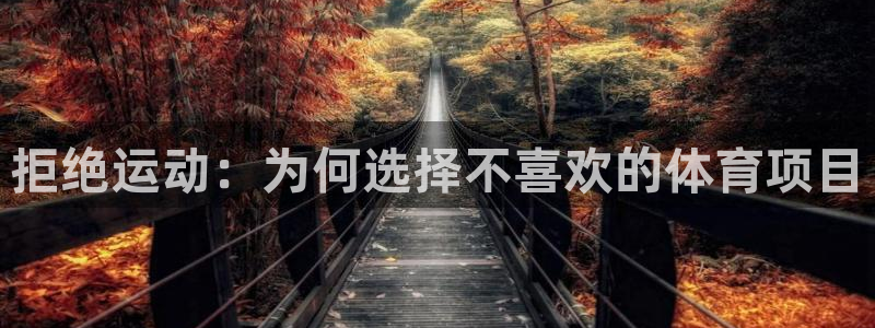 意昂招商：拒绝运动：为何选择不喜欢的体育项目