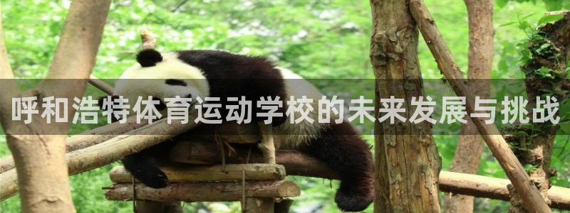 东莞市大朗意昂五金厂：呼和浩特体育运动学校的未来发展与挑战