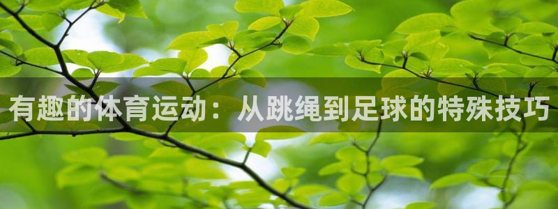 意昂5平台：有趣的体育运动：从跳绳到足球的特殊技巧
