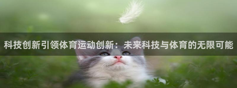 领航国际2平台登录：科技创新引领体育运动创新：未来科技与体育的无限可能