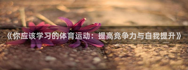 领航国际体育注册登录入口：《你应该学习的体育运动：提高竞争力与自我提升》