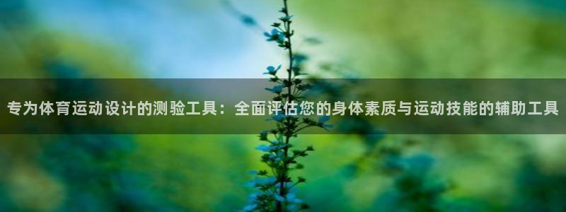 领航国际体育官网注册：专为体育运动设计的测验工具：全面评估您的身体素质与运动技能