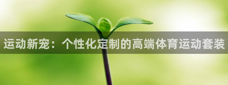 领航国际