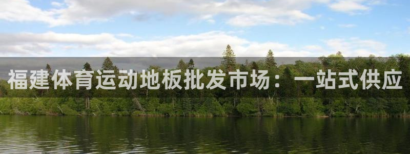 领航国际体育和杏耀是哪个公司的：福建体育运动地板批发市场：一站式供应