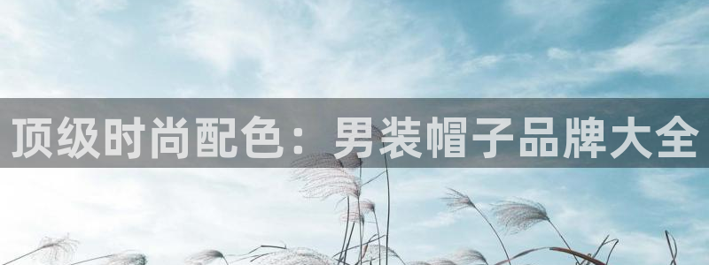 领航国际招商：顶级时尚配色：男装帽子品牌大全