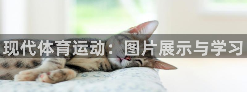 意昂体育官网：现代体育运动：图片展示与学习