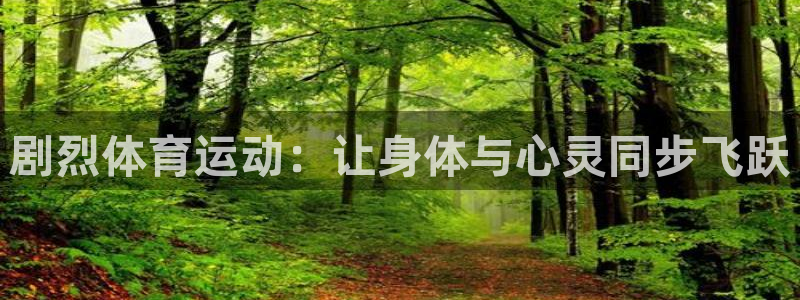 领航国际平台：剧烈体育运动：让身体与心灵同步飞跃