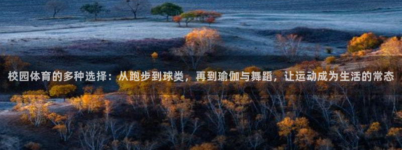 领航国际体育官网登录：校园体育的多种选择：从跑步到球类，再到瑜伽与舞蹈，让运动成