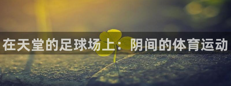 领航国际体育游戏：在天堂的足球场上：阴间的体育运动