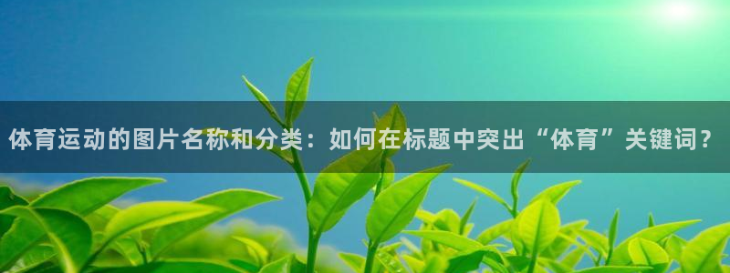 领航国际体育：体育运动的图片名称和分类：如何在标题中突出“体育”关键词？