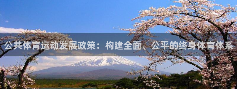 意昂5：公共体育运动发展政策：构建全面、公平的终身体育体系