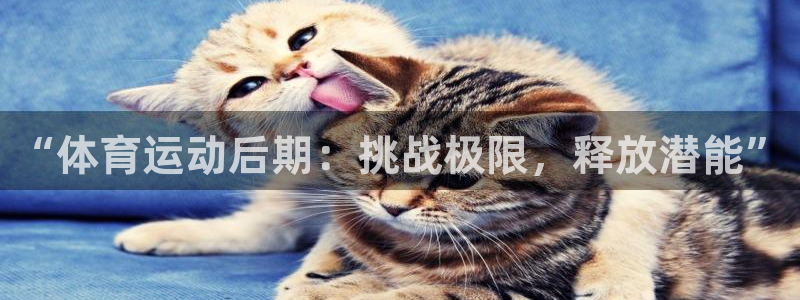 领航国际包怎么样：“体育运动后期：挑战极限，释放潜能”