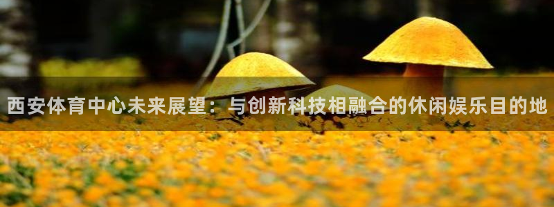 意昂3：西安体育中心未来展望：与创新科技相融合的休闲娱乐目的地