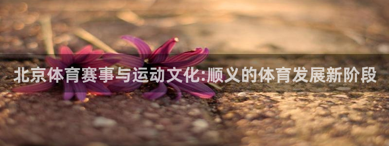 意昂4：北京体育赛事与运动文化:顺义的体育发展新阶段