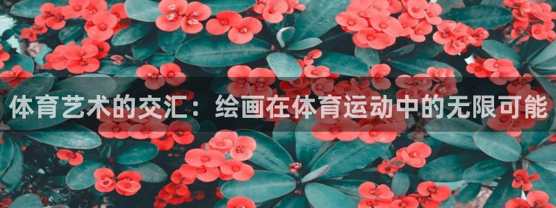 领航国际2代理注册：体育艺术的交汇：绘画在体育运动中的无限可能
