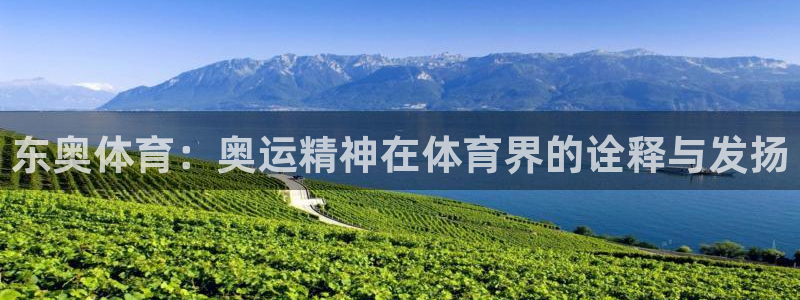 意昂4：东奥体育：奥运精神在体育界的诠释与发扬