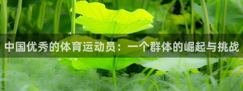 领航国际4开户：中国优秀的体育运动员：一个群体的崛起与挑战