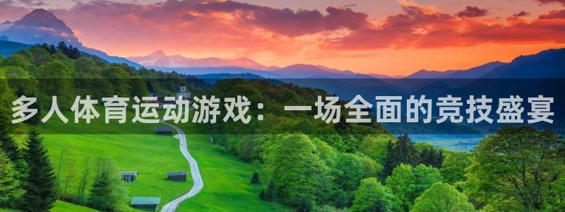 领航国际2官网：多人体育运动游戏：一场全面的竞技盛宴